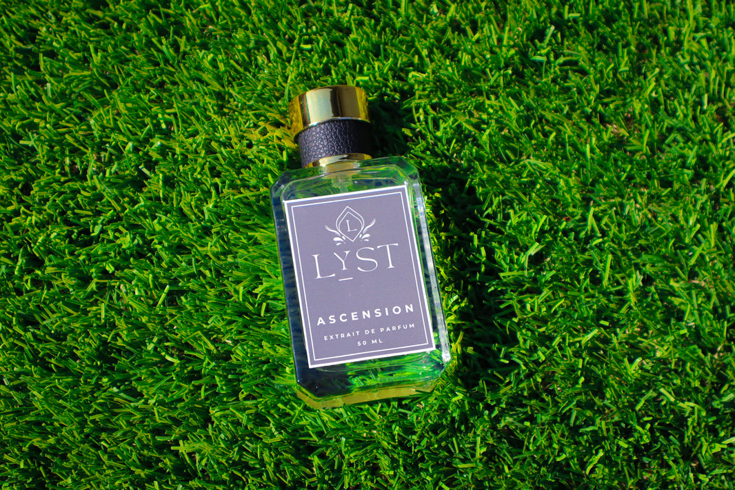 image Ascension - Inspired by Aventus